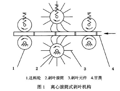 圖1 離心滾筒式剝葉機構